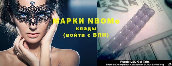 ПСИЛОЦИБИНОВЫЕ ГРИБЫ Арсеньев